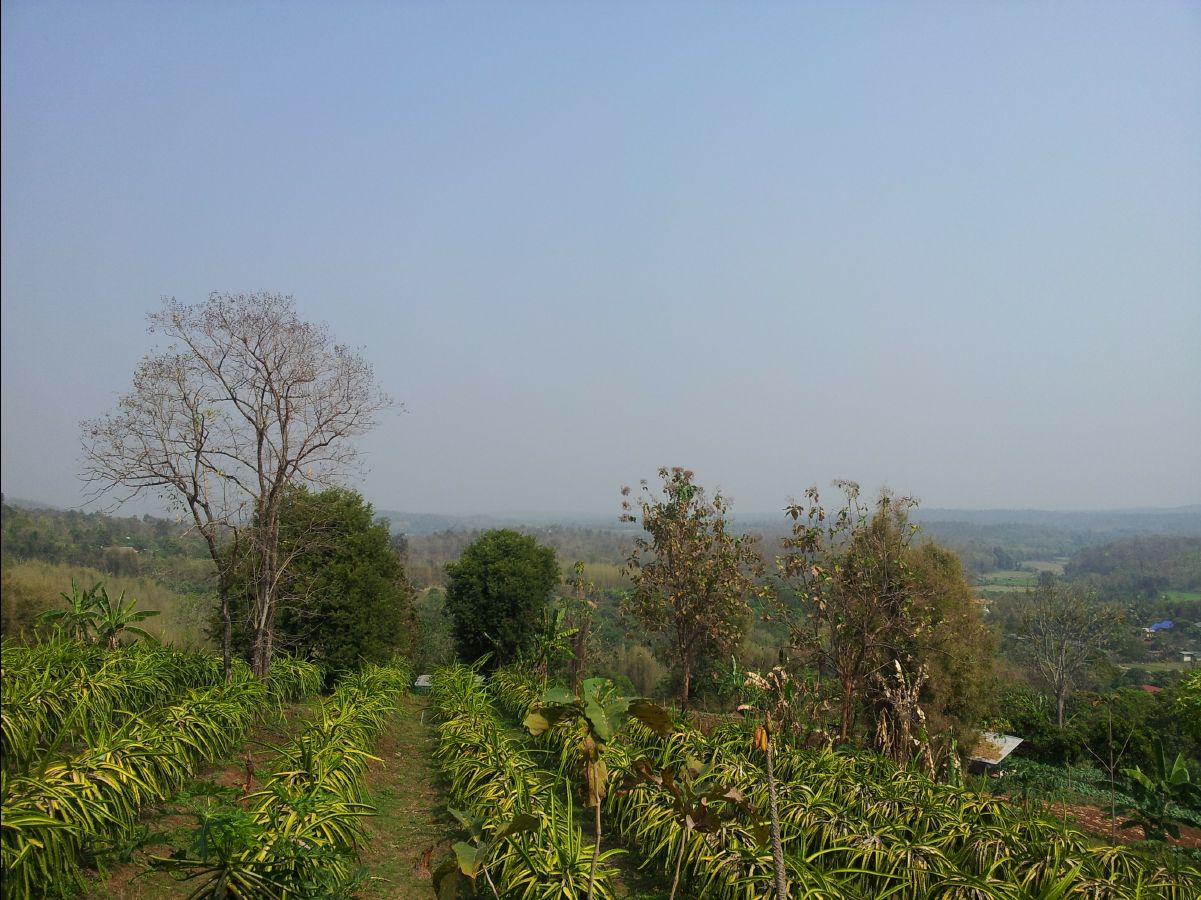 201302 Chiang Mai46